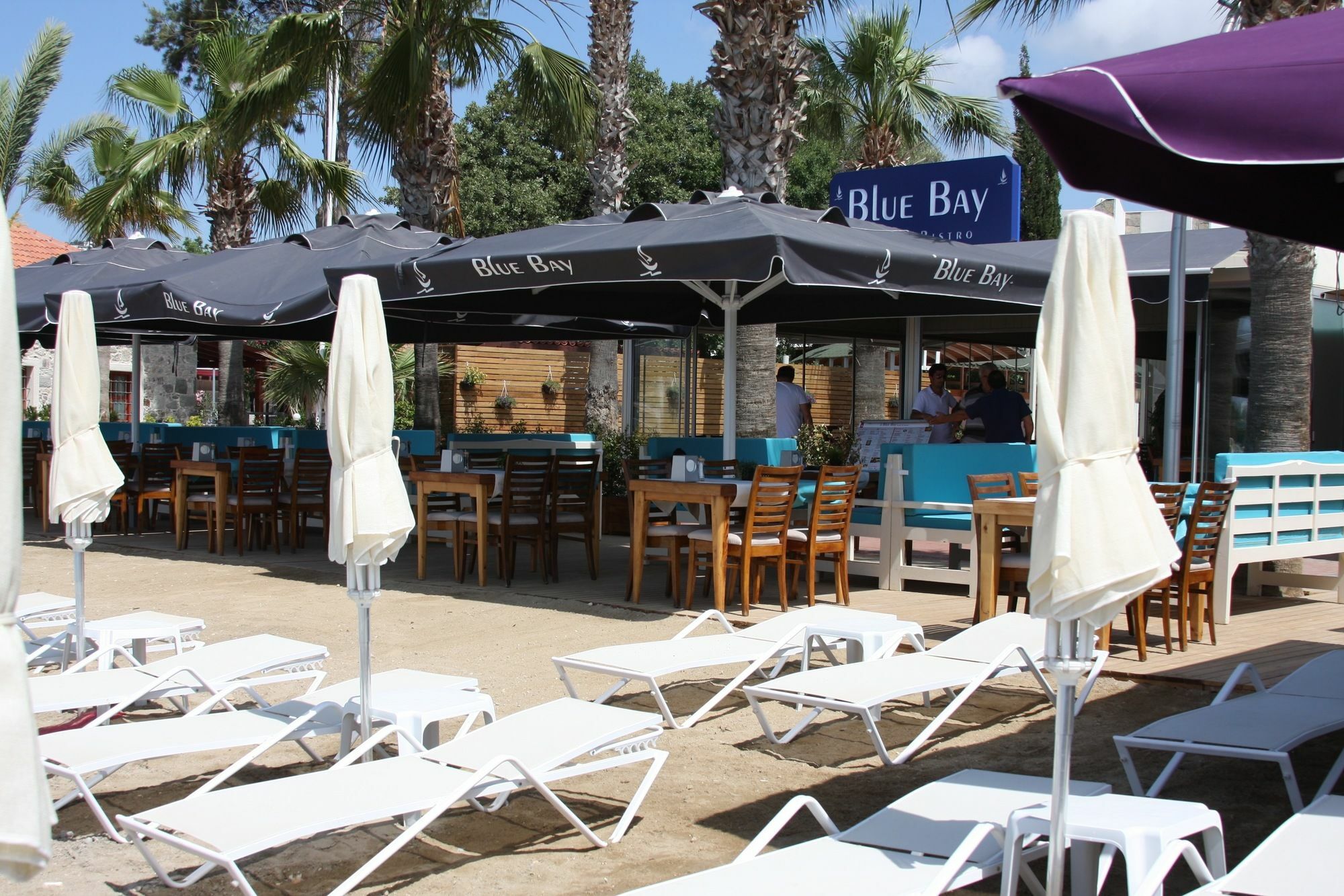 ホテル Blue Bay Bodrum ビテツ エクステリア 写真